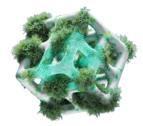 Fragmented Business Ecosystems